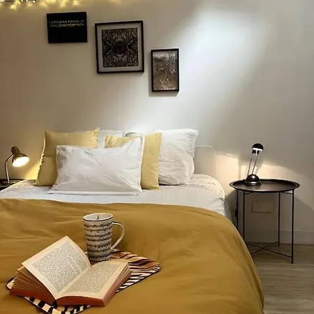 Grand Triplex Calme Avec Cour Privee Apartamento